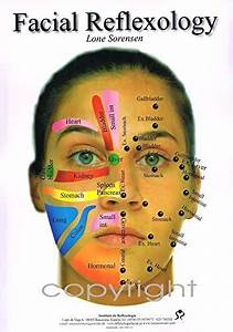 Facial Reflexology Chart A3 By Lone Sorensen Amazon Co Uk Lone