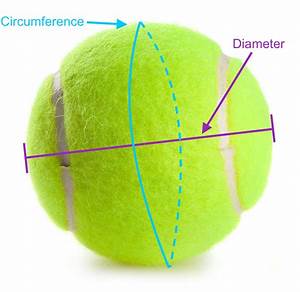 Tennis Ball Size Bounce Test