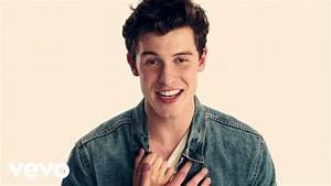 Shawn Mendes Wiki Height Age Net Worth And More