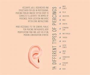 Ear Piercing Infographic Chart On Behance