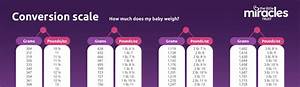 Baby Weight Conversion Scale Little Miracles Trust