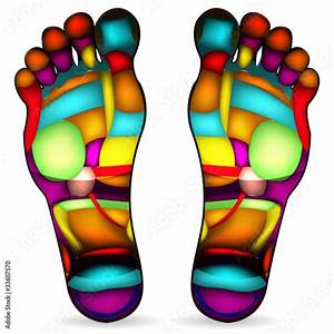 Quot Thai Foot Chart Isolated On White Background Quot Stock Image And