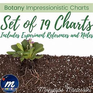 Botany Charts Impressionistic Montessori Made By Teachers