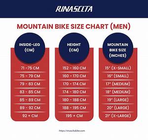Bike Size Chart Infographic Get The Right Size In 2 Minutes