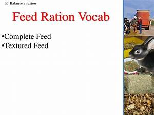 Ppt Animal Nutrition Feeding Powerpoint Presentation Free Download