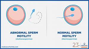  Motility Normal And Low Motility Explained Clearblue