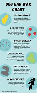 Dog Ear Wax Color Chart 6 Colors Causes Solutions Pawleaks