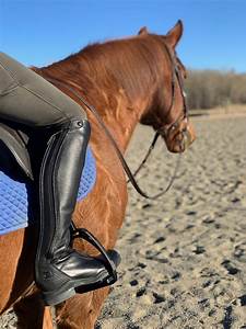 Sporty Meets Sleek Ariat V Sport Boots Review