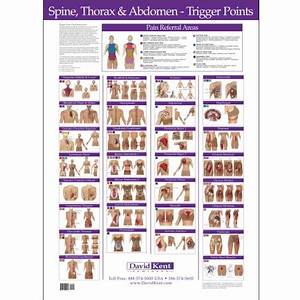 Trigger Point Charts 5 Chart Set Kent Health Systems