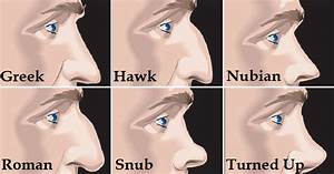 Here S What The Shape Of Your Nose Reveals About Your Personality