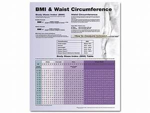 Bmi Waist Circumference Chart 20 39 39 X 26 39 39 Newegg Com