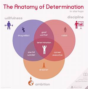 the anatomy of determination in startups infographic chart