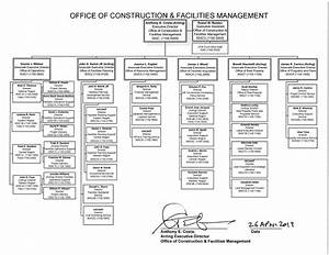 Cfm Organization Chart