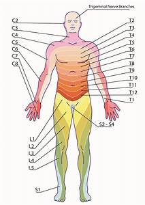 An Overview Of Neuraxial Anesthesia