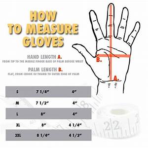 How To Measure Glove Size Ultimate Glove Sizing Guide Alpine Swiss