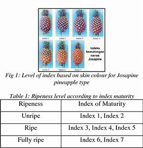 Table 1 From Ripeness Level Classification For Pineapple Using Rgb And