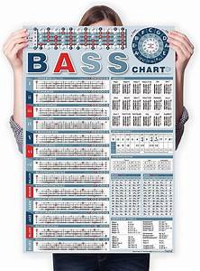 Bass Note Chart Of Scale Chords Bass Reference Poster For Beginners
