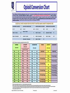Opioid Conversion Chart Fillable Printable Pdf And Forms Handypdf