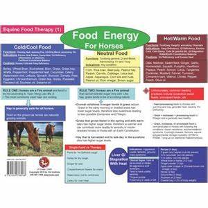 Chi University Bookstore Food Therapy For Equine Chart Ch31