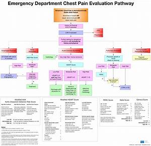 Emergency Department Ed Chest Evaluation Pathway Dr Grepmed