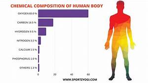 Chemical Composition Of The Body Anatomy And Physiology