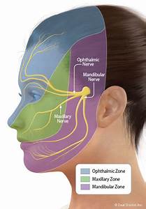 Trigeminal Neuralgia A Nerve Disorder That Causes Facial 