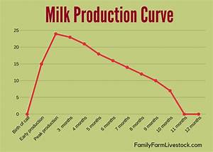 Your Family Cow S Milk Production What To Expect Family Farm Livestock
