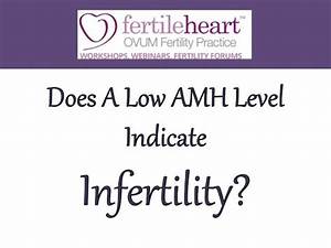 Does A Low Amh Level Indicate Infertility