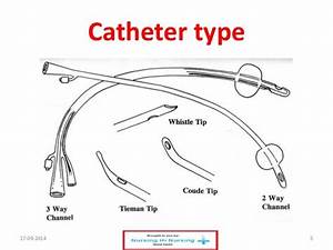 Catheter Types Discountcatheters Nursing School Prep Prep School Lpn