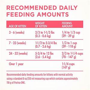 Feeding Chart Newborn For Kittens Newborn Kittens