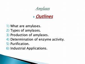 Amylases Enzymes Production