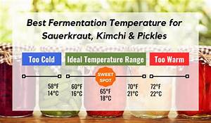 What Is The Best Fermentation Temperature For Sauerkraut Pickles