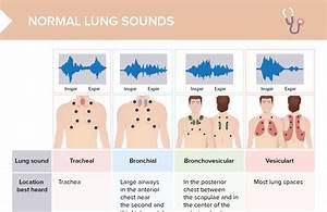Adventitious Lung Sounds Free Cheat Sheet Lecturio Nursing