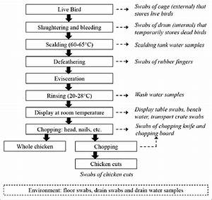 Flow Diagram Of Poultry Processing In Markets With Detailed