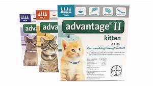 Advantage Ii For Cats Dosage Fleascience