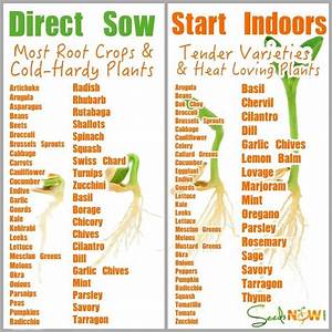 Nice Chart Home Vegetable Garden Starting Seeds Indoors Growing Food