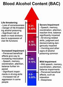 How Long Does Alcohol Stay In Your System Rehab Guide Clinics