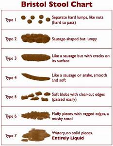 Bristol Stool Chart Ultimate Health