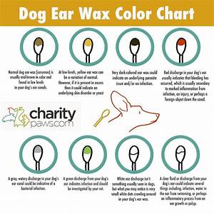 Dog Ear Wax Color Chart Find Out What Each Color Means