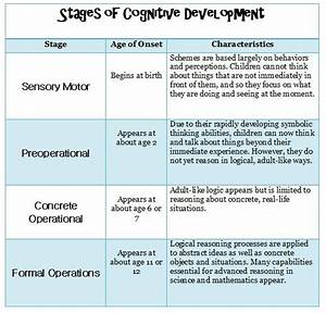 piaget 39 s stages of cognitive development praxis study time pinterest