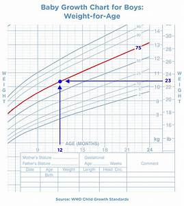 Weight Gain Percentile For Baby Blog Dandk