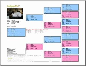 free printable rabbit pedigree template cleverkeys