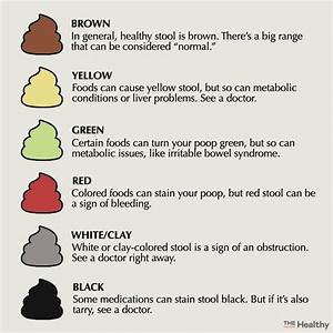  Stool Color Changes Color Chart And Meaning Healthy Concept Stock