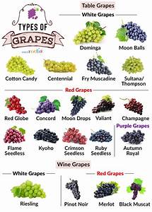 20 Different Types Of Grapes To Eat And Make Wine
