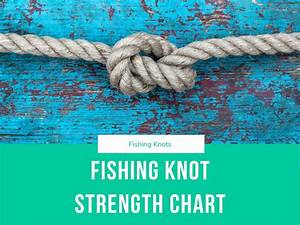Fishing Knot Strength Chart The Strongest Knots Ranked Wild Hydro
