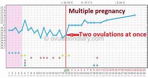 Two Ovulations Causes And Symptoms Examples Of Bbt Charts