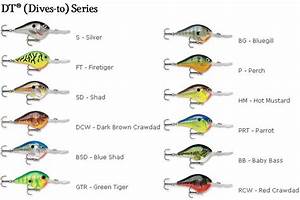 Crazy Fisherman Rapala Depth Fish Species Chart Part 1