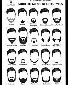 Not Sure What Kind Of Beard You Wanna Grow Then Check Out Our Beard