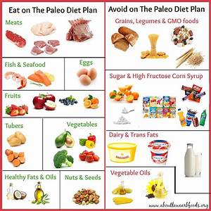 A Paleo Diet Plan That Can Save Your Life About Low Carb Foods