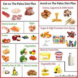 a paleo diet plan that can save your life about low carb foods